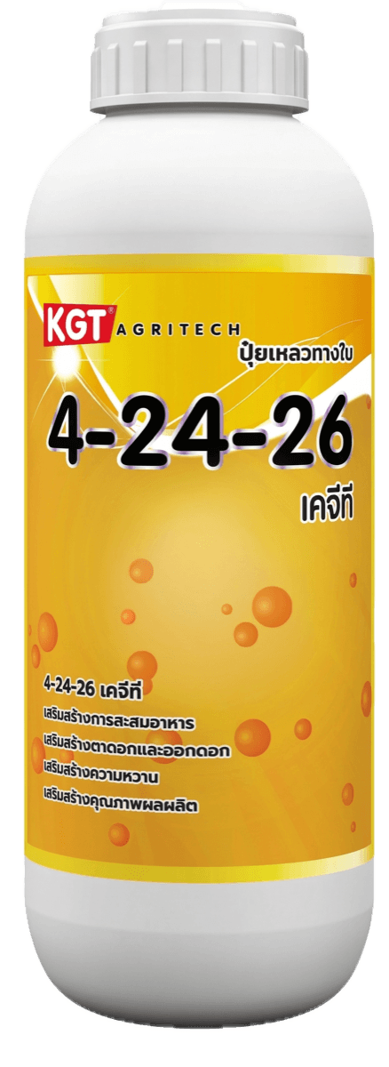 KGT ปุ๋ยสะสมอาหาร 4-24-26