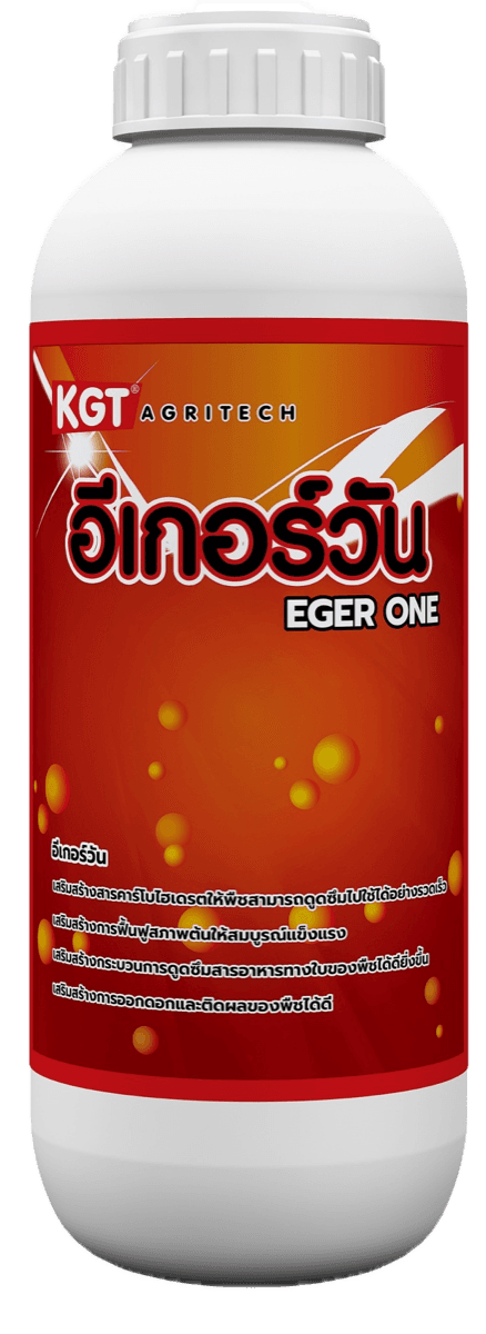 KGT อีเกอร์วัน