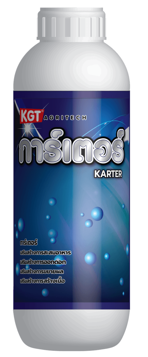 KGT การ์เตอร์