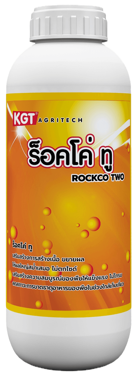 ร็อคโค่ทู